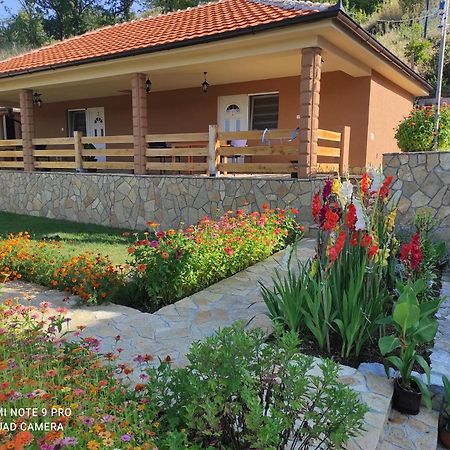 Vila Vera Borsko Jezero Екстер'єр фото