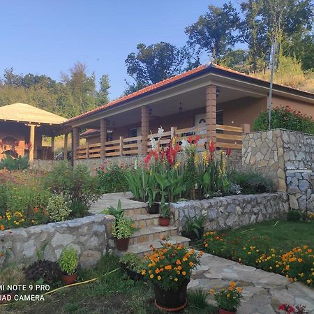 Vila Vera Borsko Jezero Екстер'єр фото