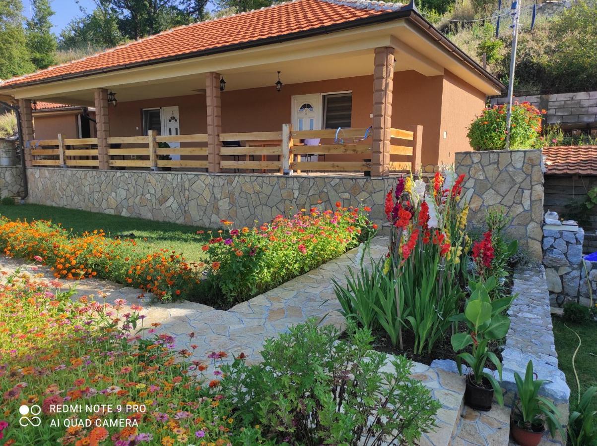 Vila Vera Borsko Jezero Екстер'єр фото