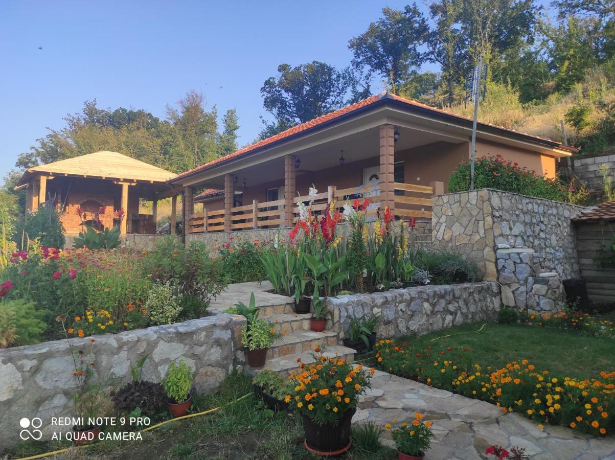 Vila Vera Borsko Jezero Екстер'єр фото