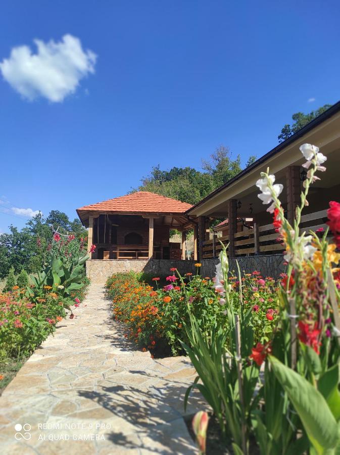Vila Vera Borsko Jezero Екстер'єр фото